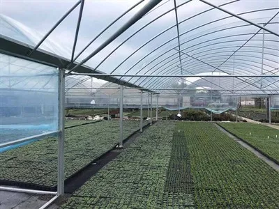 Ogrodnicza folia z tworzywa sztucznego